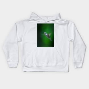 Ruby-throated hummingbird Kids Hoodie